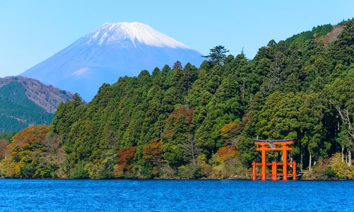 Hakone, Japan. 04th Feb, 2023. Bathers enjoy in a colored with