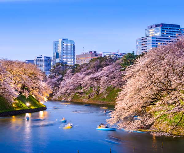 The Best Time to Visit Tokyo