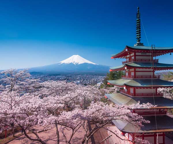 The best places to visit in Tokyo and top attractions