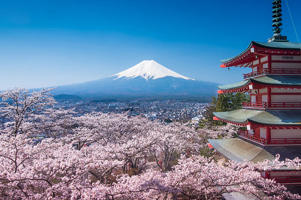 Japan Tour Packages & Japanese Vacation Trips 2023-2024